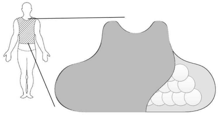 Fish scale diagram to showcase fish inspired garment