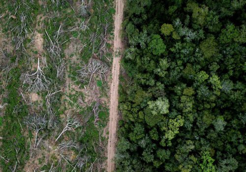 Amazon deforestation compliance Adobe