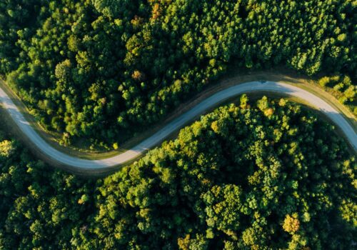 stock image pexels forest trees roads