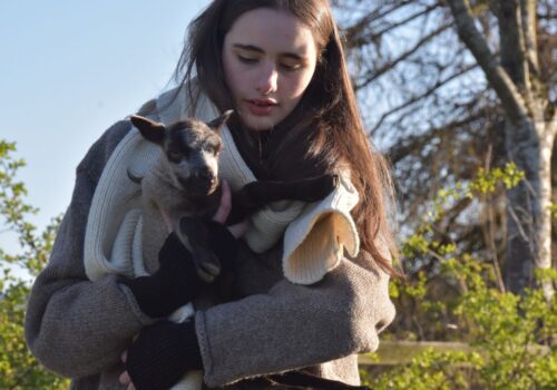 Model holding baby sheep in their arms