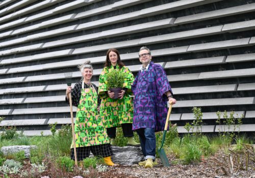 V_ADundee-Planting-Day-10